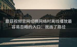 蘑菇视频官网切换网络时离线播放最容易忽略的入口：我画了路径