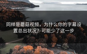 同样是蘑菇视频，为什么你的字幕设置总出状况？可能少了这一步