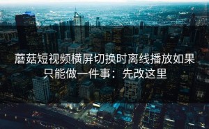 蘑菇短视频横屏切换时离线播放如果只能做一件事：先改这里