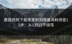 蘑菇视频下载夜里刷到流量消耗排查15步：从1到15不绕弯