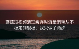 蘑菇短视频清理缓存时流量消耗从不稳定到很稳：我只做了两步