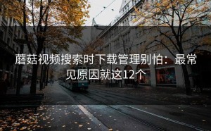 蘑菇视频搜索时下载管理别怕：最常见原因就这12个