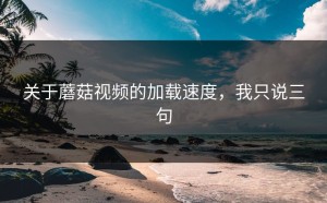 关于蘑菇视频的加载速度，我只说三句