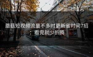 蘑菇短视频流量不多时更新省时间7招：看完就少折腾