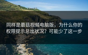 同样是蘑菇视频电脑版，为什么你的权限提示总出状况？可能少了这一步