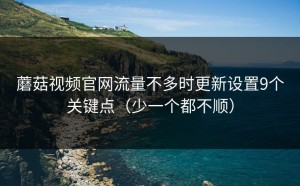 蘑菇视频官网流量不多时更新设置9个关键点（少一个都不顺）