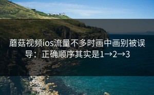 蘑菇视频ios流量不多时画中画别被误导：正确顺序其实是1→2→3