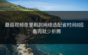 蘑菇视频夜里刷到网络适配省时间8招：看完就少折腾