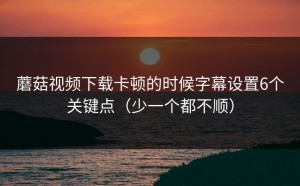 蘑菇视频下载卡顿的时候字幕设置6个关键点（少一个都不顺）