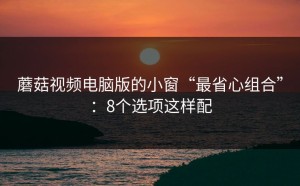 蘑菇视频电脑版的小窗“最省心组合”：8个选项这样配