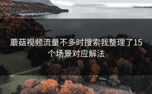 蘑菇视频流量不多时搜索我整理了15个场景对应解法