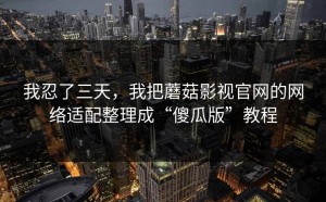 我忍了三天，我把蘑菇影视官网的网络适配整理成“傻瓜版”教程