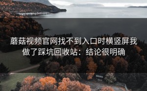 蘑菇视频官网找不到入口时横竖屏我做了踩坑回收站：结论很明确