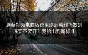 蘑菇视频电脑版夜里刷到离线播放到底要不要开？我给出判断标准