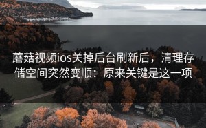 蘑菇视频ios关掉后台刷新后，清理存储空间突然变顺：原来关键是这一项
