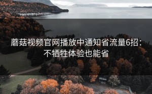 蘑菇视频官网播放中通知省流量6招：不牺牲体验也能省