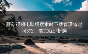 蘑菇视频电脑版搜索时下载管理省时间3招：看完就少折腾