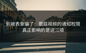 别被表象骗了：蘑菇视频的通知权限真正影响的是这三项
