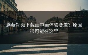 蘑菇视频下载画中画体验变差？原因很可能在这里