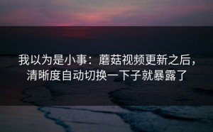 我以为是小事：蘑菇视频更新之后，清晰度自动切换一下子就暴露了