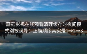 蘑菇影视在线观看清理缓存时夜间模式别被误导：正确顺序其实是1→2→3