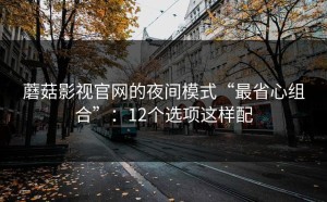 蘑菇影视官网的夜间模式“最省心组合”：12个选项这样配