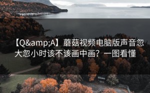 【Q&A】蘑菇视频电脑版声音忽大忽小时该不该画中画？一图看懂