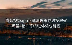 蘑菇视频app下载清理缓存时投屏省流量4招：不牺牲体验也能省