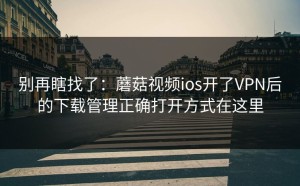 别再瞎找了：蘑菇视频ios开了VPN后的下载管理正确打开方式在这里