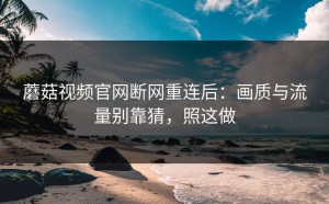 蘑菇视频官网断网重连后：画质与流量别靠猜，照这做