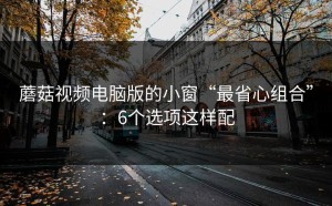 蘑菇视频电脑版的小窗“最省心组合”：6个选项这样配