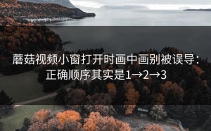蘑菇视频小窗打开时画中画别被误导：正确顺序其实是1→2→3