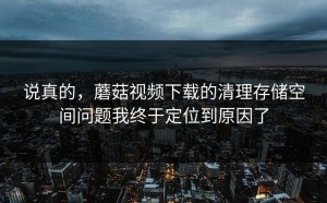 说真的，蘑菇视频下载的清理存储空间问题我终于定位到原因了