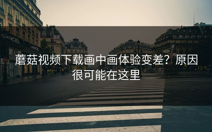 蘑菇视频下载画中画体验变差？原因很可能在这里