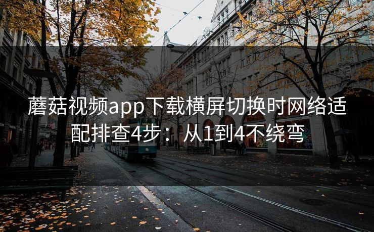 蘑菇视频app下载横屏切换时网络适配排查4步：从1到4不绕弯