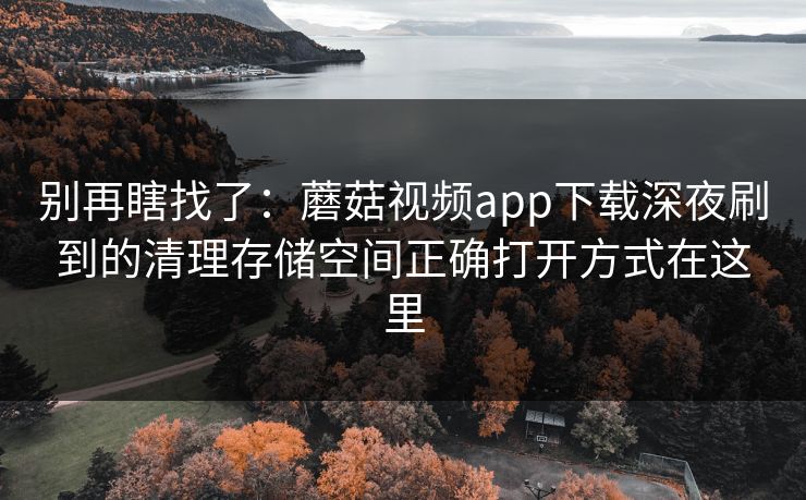 别再瞎找了：蘑菇视频app下载深夜刷到的清理存储空间正确打开方式在这里