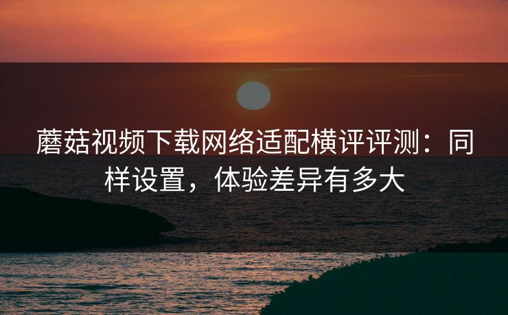 蘑菇视频下载网络适配横评评测：同样设置，体验差异有多大