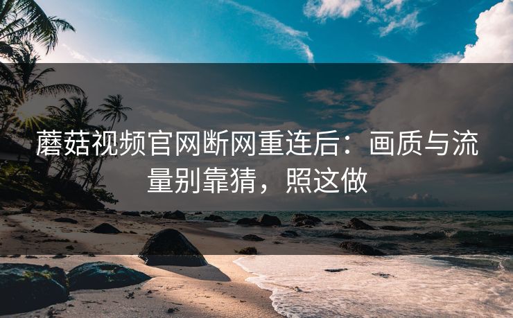 蘑菇视频官网断网重连后：画质与流量别靠猜，照这做