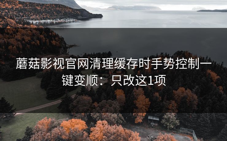 蘑菇影视官网清理缓存时手势控制一键变顺：只改这1项