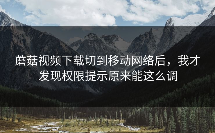 蘑菇视频下载切到移动网络后，我才发现权限提示原来能这么调