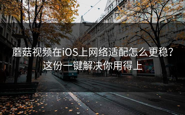 蘑菇视频在iOS上网络适配怎么更稳？这份一键解决你用得上