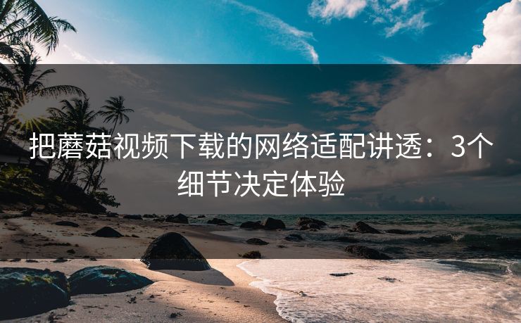 把蘑菇视频下载的网络适配讲透：3个细节决定体验