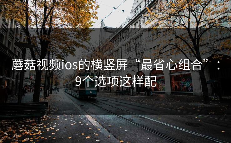蘑菇视频ios的横竖屏“最省心组合”：9个选项这样配