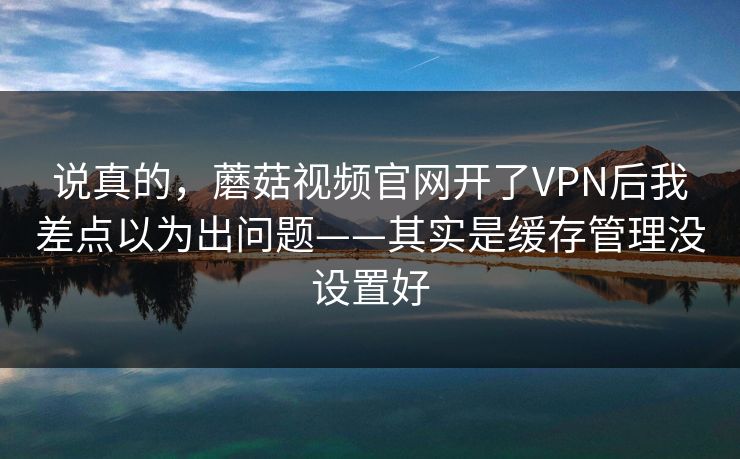 说真的,蘑菇视频官网开了VPN后我差点以为出问题——其实是缓存管理没设置好 说真的,蘑菇视频官网开了VPN后我差点以为出问题——其实是缓存管理没设置好