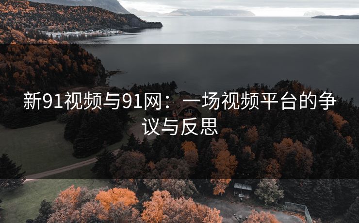 新91视频与91网：一场视频平台的争议与反思